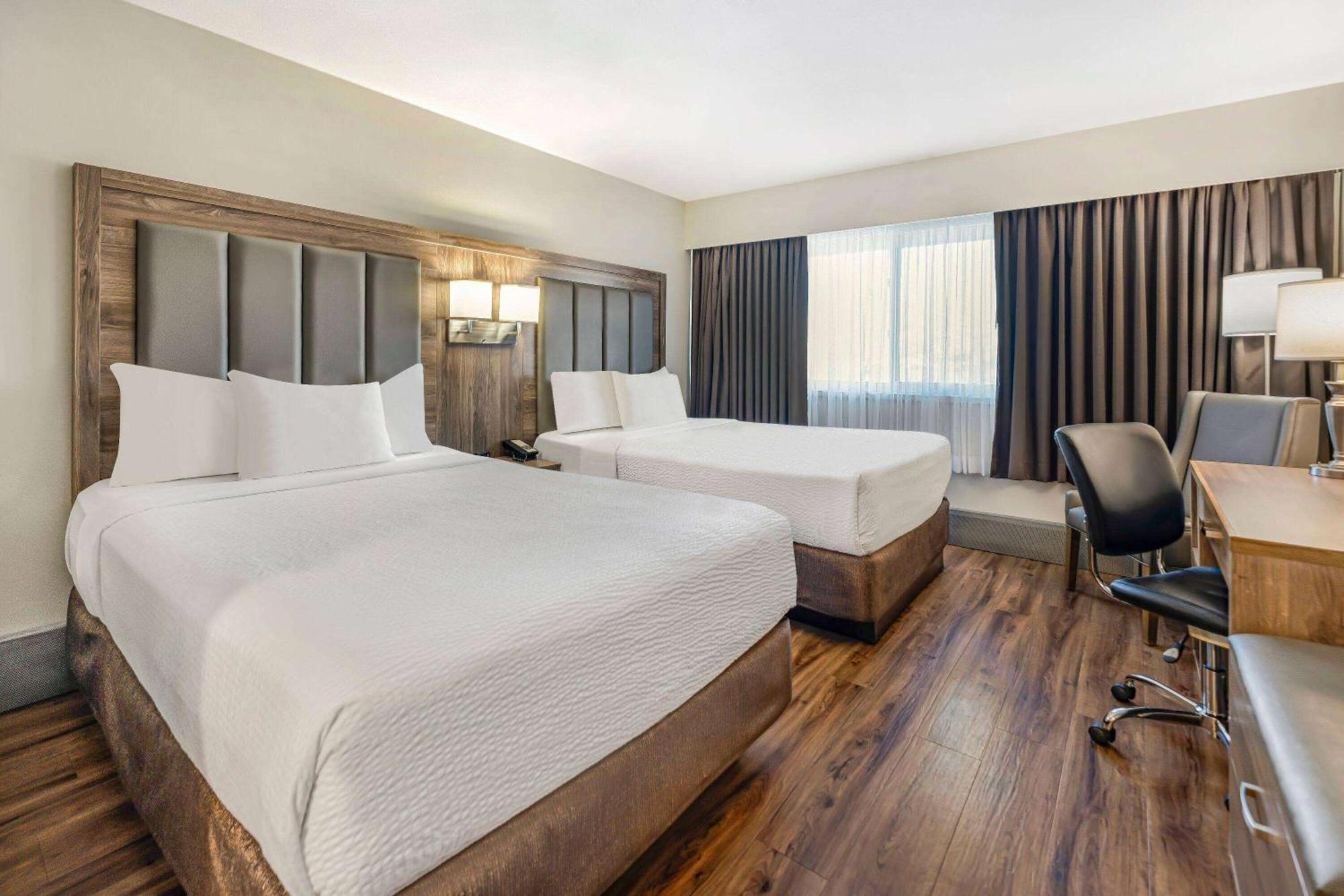 Standard Double Room with Street View